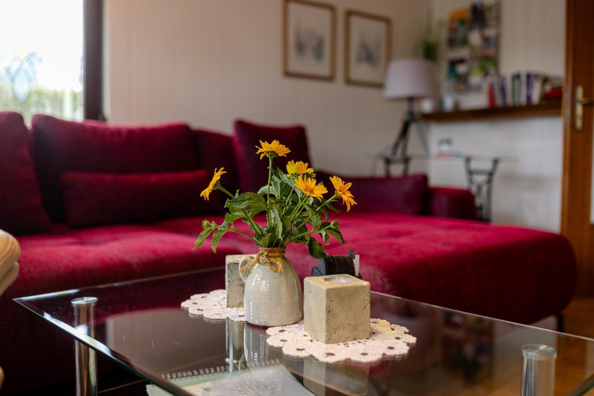 Ferienhaus Am Bergeshang ブランケンブルク エクステリア 写真